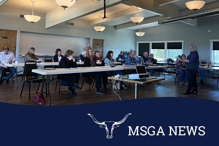 MSGA Annual Meeting 2022 news header