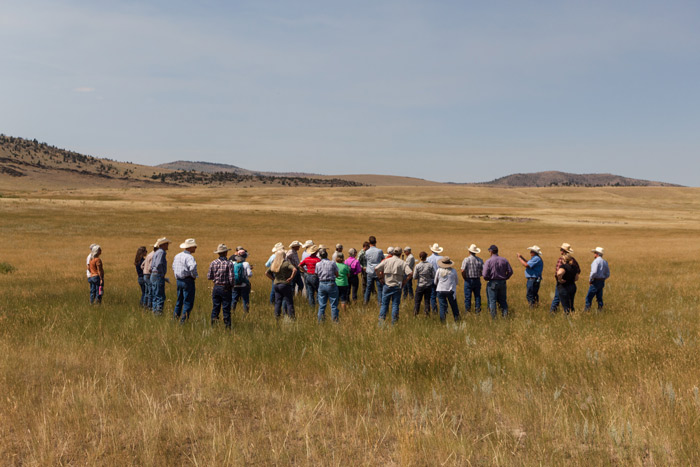 Attendees viewing Wall Creek Wildlife Management Area range conditions 