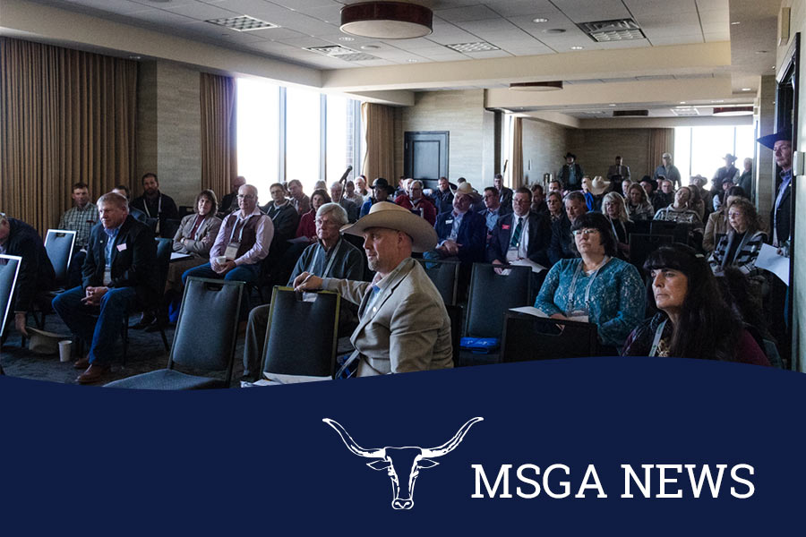 MSGA Announces 2025 MidYear Meeting to be Held in Butte May 2830