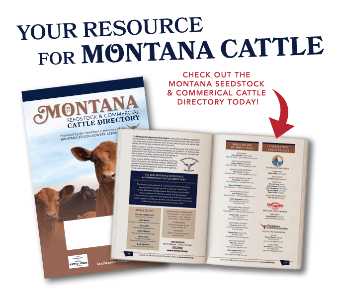 photos of the cattle directory with text your resource for Montana Cattle