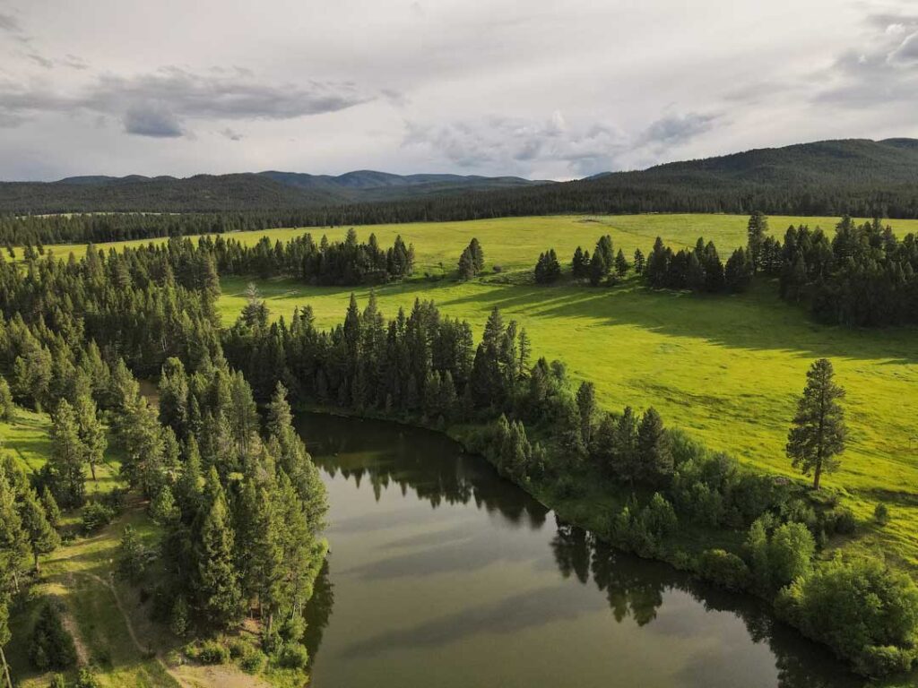 - Montana Stockgrowers Association