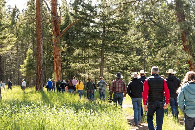 - Montana Stockgrowers Association