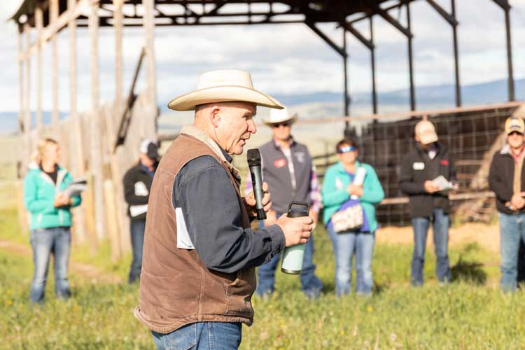 - Montana Stockgrowers Association
