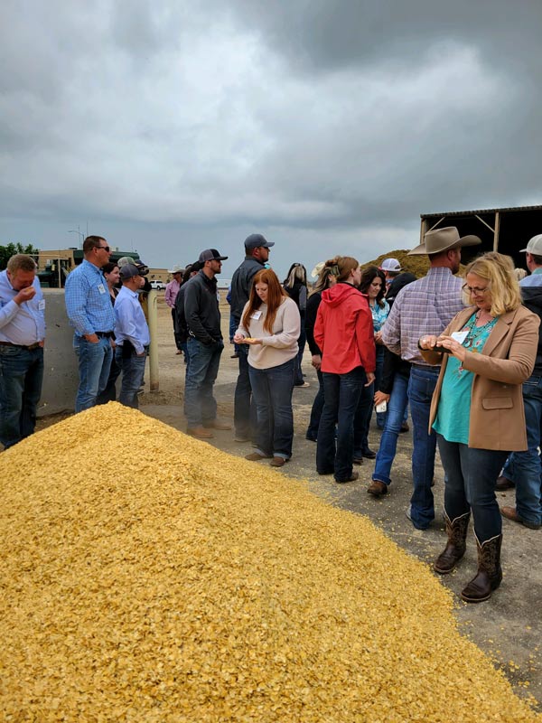 - Montana Stockgrowers Association