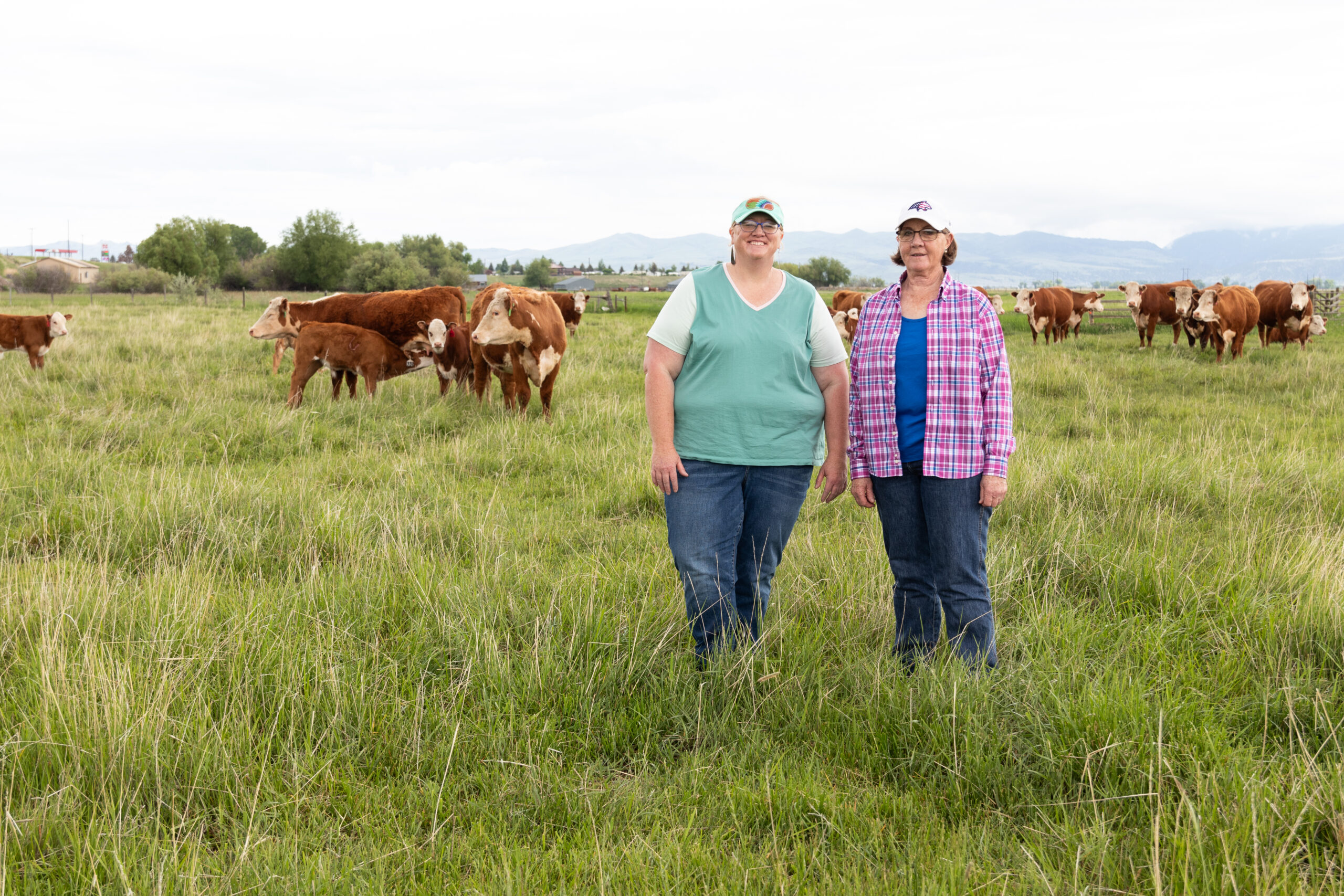 - Montana Stockgrowers Association
