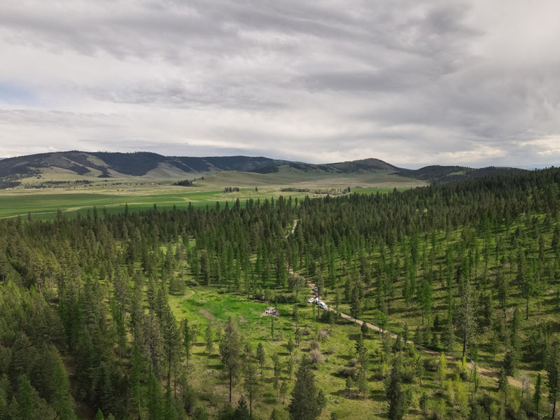- Montana Stockgrowers Association