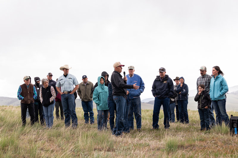 - Montana Stockgrowers Association