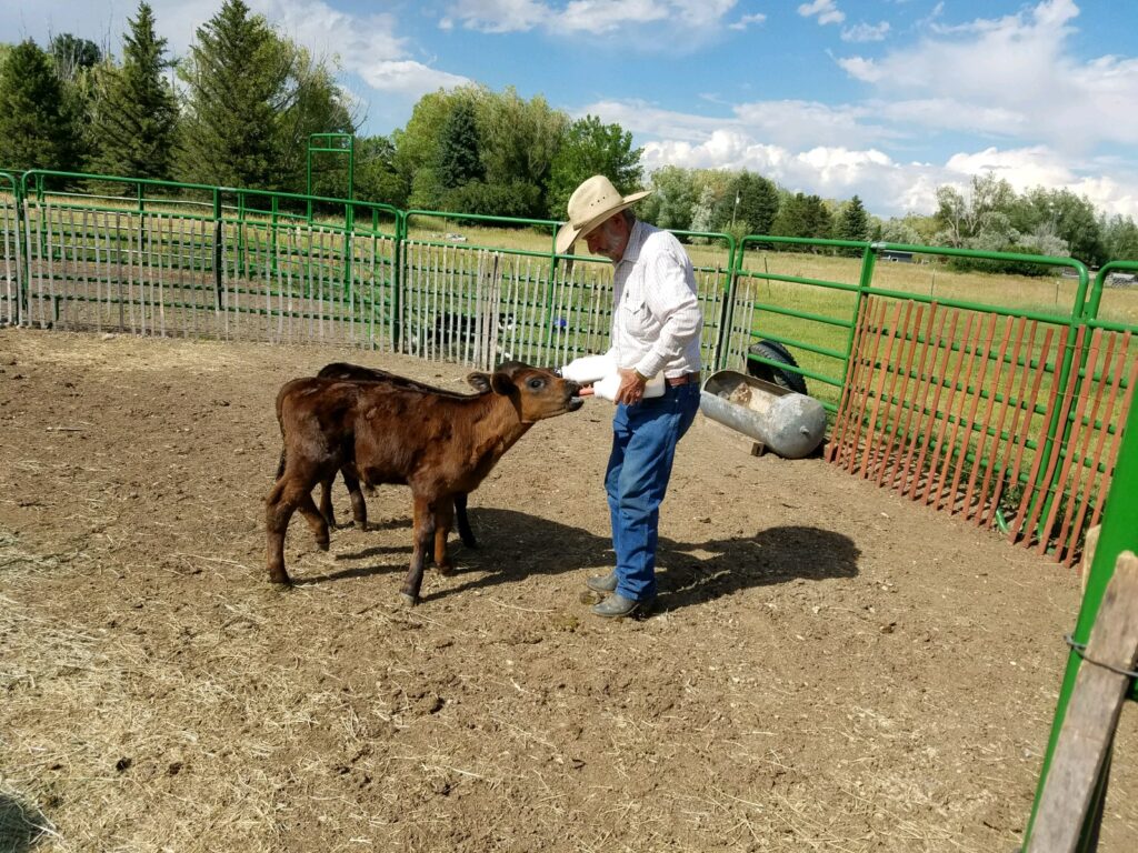 - Montana Stockgrowers Association