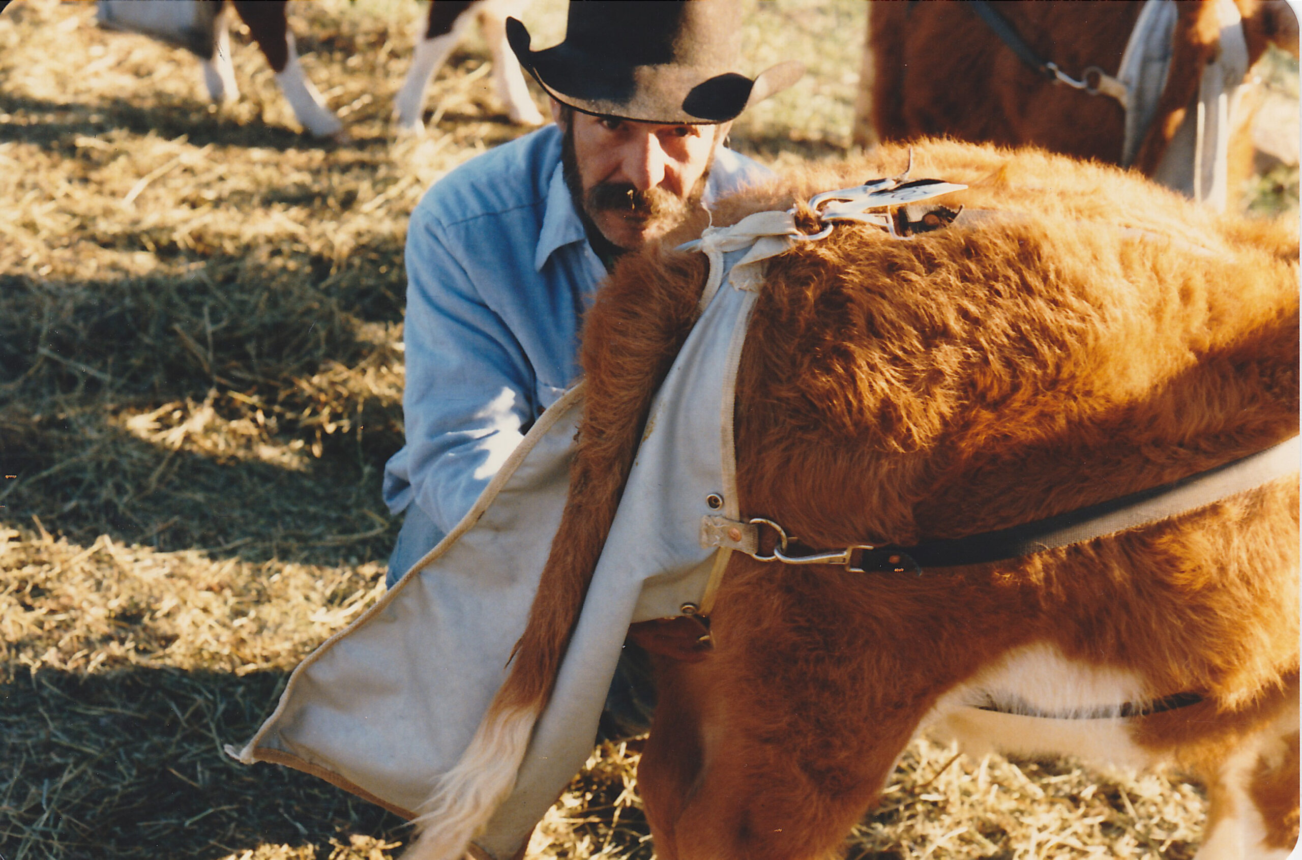 - Montana Stockgrowers Association