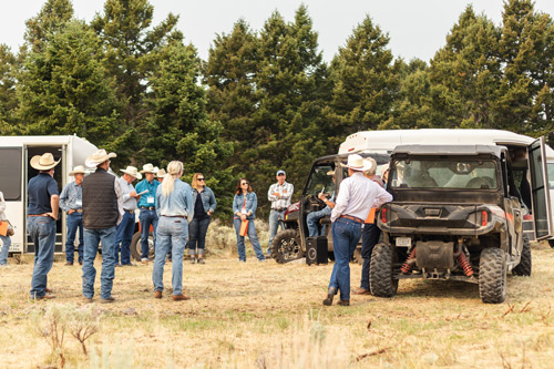 - Montana Stockgrowers Association