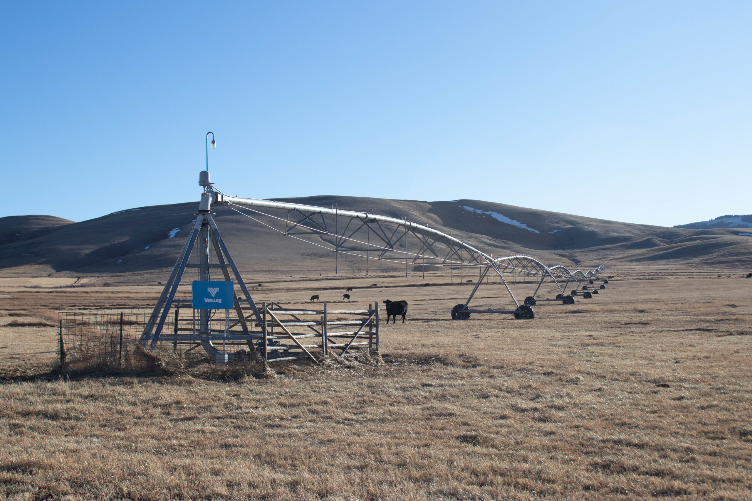 - Montana Stockgrowers Association