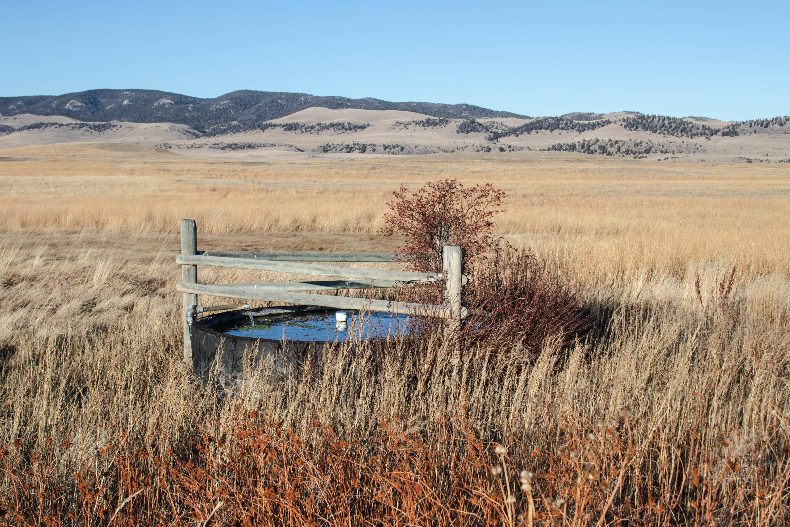 - Montana Stockgrowers Association Stock water development on the TG Ranch in Martinsdale, Montana