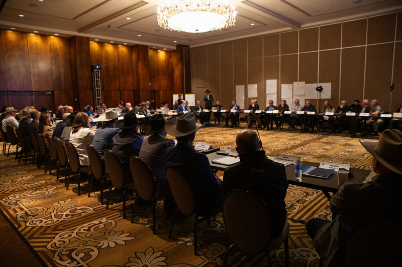 LMA-Common-Ground-Summit-5D-1-2025-04-22-476_web