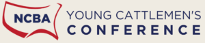 YCC-logo-1-300x63