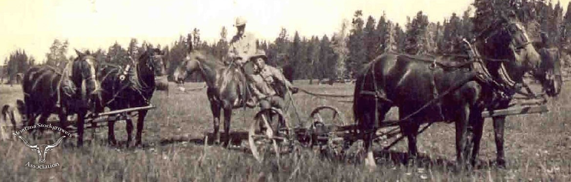 historySlider9