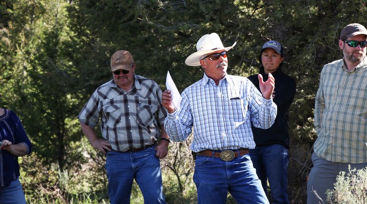 - Montana Stockgrowers Association